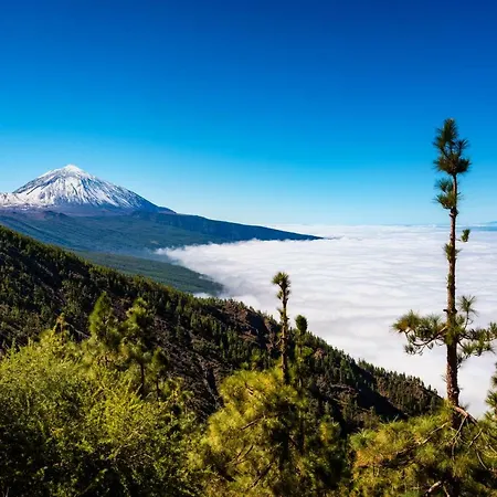 Casa Tia Julia, Vivienda Independiente 4 Pax En Playa Teresitas בית נופש