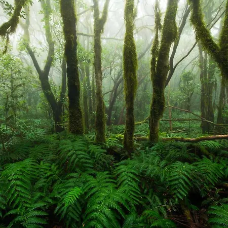 Casa Tia Julia, Vivienda Independiente 4 Pax En Playa Teresitas * San Andrés